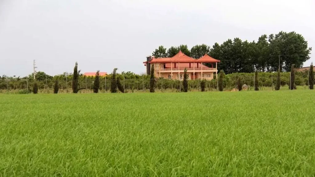 تغییر کاربری زمین در قائمشهر