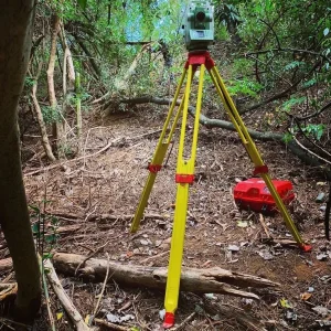 نقشه برداری زمین